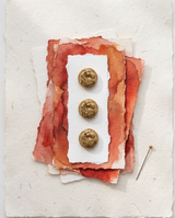 Ashva Virasat Buttons