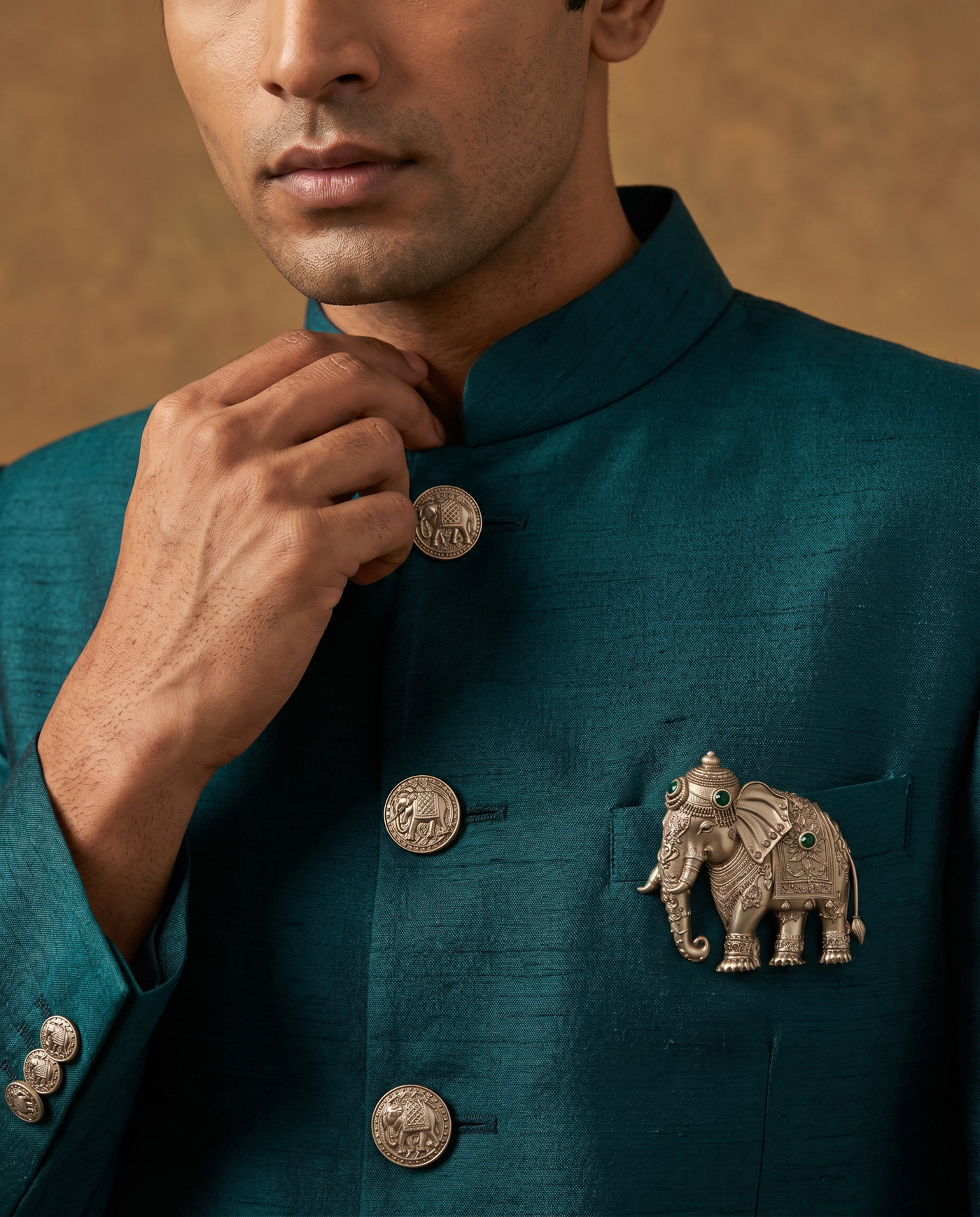 Gaj Virasat Buttons